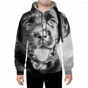 Hoods Hoodies Factory Directe verkoop van buitenlandse handel 2023 Animal Series 3D-geprinte kleding en damescompreet lange mouwen