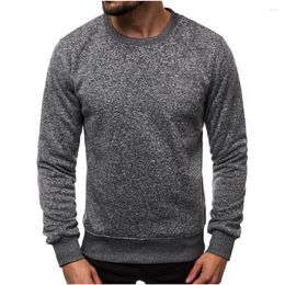 Herren Hoodies Frühling Herbst 2023 Mode runde Hals Herrenstraße Verkauf Pullover Harajuku Pullover Shirt Business Casual Sweatshirt