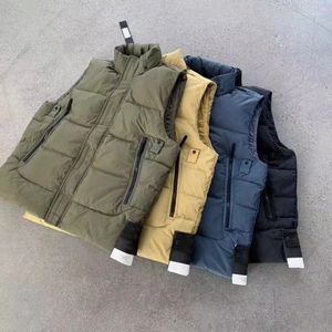 Veste en duvet de créateur Veste à col montant en pierre version haute, veste à capuche, veste pull en peluche gâteau de mouton, style tendance pour hommes et femmes Down 2023