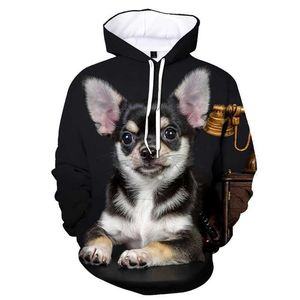 Heren Hoodies Sweatshirts Animal Dog Chihuahua 3d Gedrukte Hoodie Men Dames Casual hoodie Pullover Harajuku Fashion Streetwear Y2K Clothing Hoodies Tops 240424