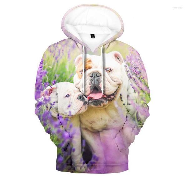 Sweats à capuche pour hommes Sweatshirts Nouveauté Funny Picture Dog 3D Print Hoodie Hommes / femmes Loose Sportswear Creative Boys / girls Hip Hop Pul