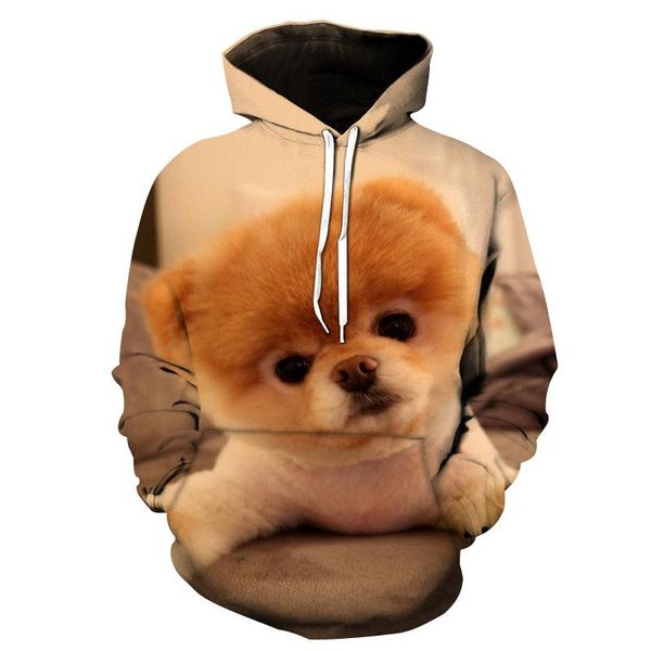 Sweat-shirt à capuche pour hommes et femmes, imprimé en 3D, motif Animal Chow Dog, unisexe, décontracté, créatif, surdimensionné