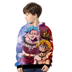 Sweats à capuche pour hommes The Seven Deadly Sins Sweatshirt Rod Sleeve Mode Enfants Style Polyester Unisexe