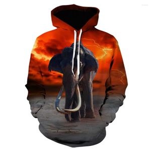 Sweat à capuche pour hommes Tiger Sweetwear Streetwear 3D Print Printemps et Automne Gothic Vêtements Sweatshirts Animal Veste de mode pour hommes
