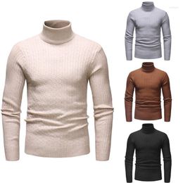 Hommes Hoodies Hiver Automne Hommes Slim Fit Chaud Tricot Pull Tops Homme Casual Col Haut Pull Top À Manches Longues Solide Col Roulé Tricots