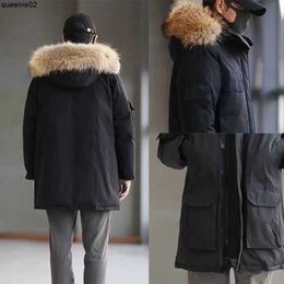 Vestes masculines hommes Vestes d'hiver vers le bas Parkas Jassen Chaquetas Vêtements extérieurs Capinon de fourrure de loup