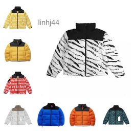 Vestes pour hommes Spring Down Jacket Zipper Designer Mode Classique Unisexe Principal Cardigan Cardigan Northfaces3urlhmd1TFEJ