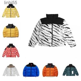 Vestes pour hommes Spring Down Jacket Zipper Designer Mode Classique Unisexe Principal Cardigan Cardigan Northfaces3urlhmd1UJWW