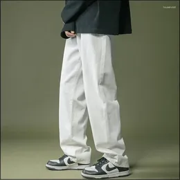 Jeans pour hommes 2024 Printemps Streetwear Baggy pour hommes Mode coréenne Lâche Droite Pantalon à jambes larges Hommes Noir Blanc Denim Pantalon