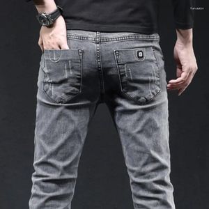 Jeans pour hommes gris denim mâle pantalon élastique mode longue mince haute rue petits pieds pantalons