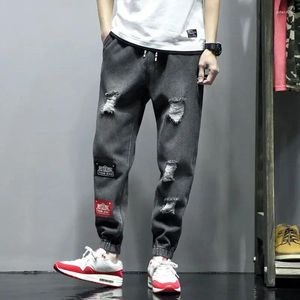 Heren Jeans Man Cowboy Broek Grafisch Gescheurd Hip Hop Harem Gescheurde Broek Met Gaten Gebroken Plus Size Baggy Zomer Harajuku