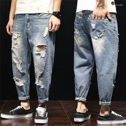 Mannen Jeans Plus Size 28-42 Mannen Gescheurd Lente Herfst Mode Toevallige Gat Slanke Losse Harem Baggy Lange denim Broek Streetwea...