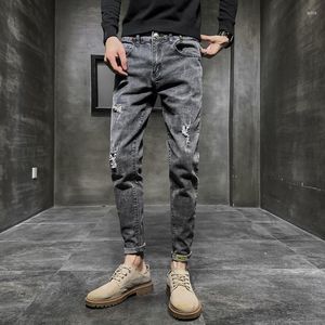 Jeans pour hommes printemps automne décontracté déchiré Denim gris maigre petit ami coréen nouveauté travail Designer vêtements hommes pantalons pantalons homme