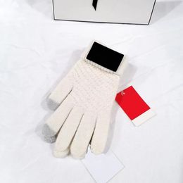 Gants tricotés pour hommes, gants d'hiver et d'automne, velours de haute qualité, couleur unie, gants de riz chauds