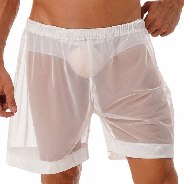 Lingerie pour hommes Mesh Sheer Loose Fit Boxer Shorts Lounge Mâle Transparents Sous-vêtements Maillots de bain Été Beachwear 98Ek #