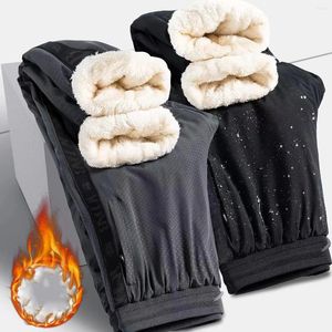 Herenbroeken Fleece dikker warm casual winter elastische taille losse eenvoudige mode all-match multi zakken gezellige jeugdbroek