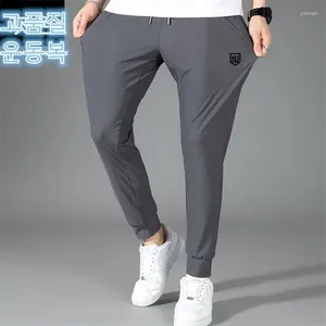 Pantalones para hombres usa golf de verano alto seda elástica de seda ultra delgada pantalones casuales de secado rápido que corren pantalones de chándal de planta l- 5xl