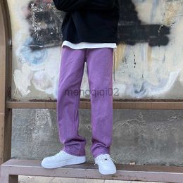 Pantalon homme mode coréenne hommes jean violet vert ample droite Vintage décontracté Streetwear Skateboard danse Denim Cargo Baggy Y23