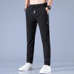 Pantalons pour hommes MRMT 2023 Marque Ice Silk Loose Respirant Straight Casual Thin Quick Dry Elastic Sweatpants