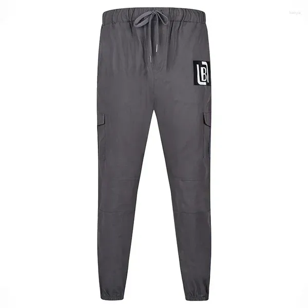 Pantalon pour hommes Simple gris Cargo ample travail en plein air pantalon décontracté mode lettre imprimer cordon pantalon Streetwear vêtements masculins