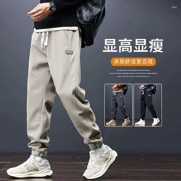 Pantalons pour hommes Sports Printemps Automne Hiver 2024 Japonais Tendance Peluche Casual Cravate Pieds Cordon Garde