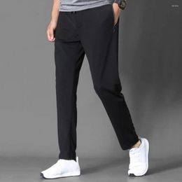 Pantalones de hombre Pantalones de diseño de malla de fibra de poliéster ajustados regulares de algodón elástico de moda casual de verano para uso diario