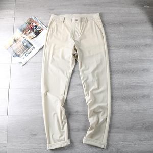 Pantalon Homme Été Léger Et Respirant Stretch Stripe Business Casual Fashion