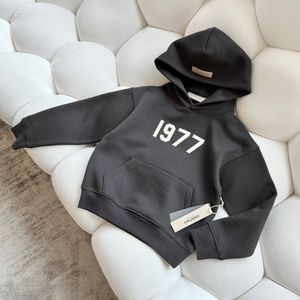 Grote maten heren hoodies Sweatshirts Ronde hals geborduurd en bedrukt zomerkleding in polaire stijl met puur straatkatoen 2qds