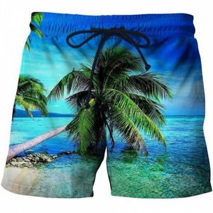 Shorts de taille plus masculine 2023 Été Nouveau création 3D Princement du tourisme Pantalon de plage de la plage