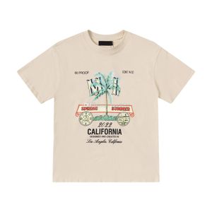 T-shirts pour hommes Polos Vêtements d'été de style polaire avec plage hors de la rue pur coton 33 Meilleure qualité