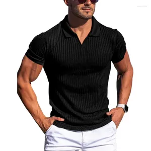 Camisetas de polo de lujo para hombres Polos Camisetas de color sólido Cops de color sólido para hombres Camas de negocios transpirables ROPA ROUPAS