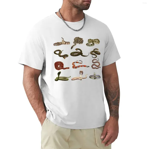 Polos pour hommes différents types de serpents t-shirt garçons imprimement animal plus taille tops coutumes blancs plaines blanc t-shirts hommes