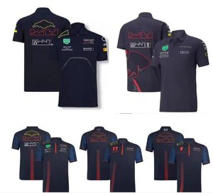 Polos pour hommes F1 Formule 1 Racing T-shirt Été Nouvelle équipe Polo Costume Même style Personnalisable 2hr5