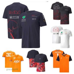 Polos pour hommes F1 Formula One T-shirt Summer Team Jersey à manches courtes avec le même Styr personnalisable