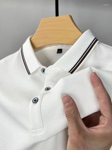 Herenpolo's Lichte luxe herfstkleding Zakelijk casual Merk Katoen Designer Revers POLOshirt met lange mouwen Modieuze effen kleur