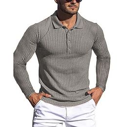 Heren Polo's Polo shirt met lange mouwen knop Design Down Collar Pure Colar Mannelijke kleding Streetwear Casual Fashion Tops 220915