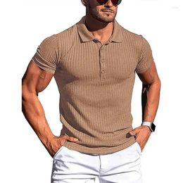 Homme de polos masculin avec des muscles de collier Polo Polo à rayures Top Gym Plain T-shirt pour hommes en hauts