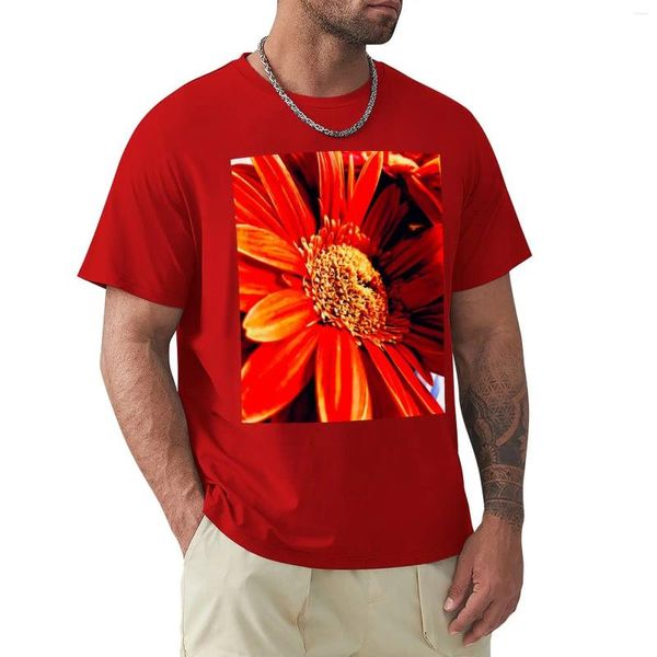 Polos pour hommes T-shirt Gerbera orange Chemise à séchage rapide Hauts d'été T-shirts pour hommes Anime