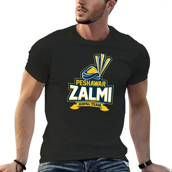 Polos Polos Peshawar Zalmi Cricket Team Logo T-shirt Customs Sweat Shirts Hommes