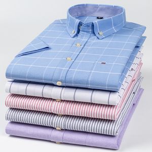 Herenpolo's shirt 100 katoen oxford gestreepte plaid 7xl casual s button up korte mouw slanke pasvorm 230105