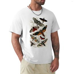 Polos para hombre, camiseta con ilustración de insectos de polilla victoriana, ropa de hombre de gran tamaño, camisetas de verano para hombre