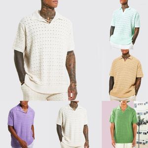 Herenpolo's Wepbel Losvallend elastisch poloshirt Trui Gebreid Casual T-shirt met korte mouwen Effen Kleur Doorzichtig V-hals