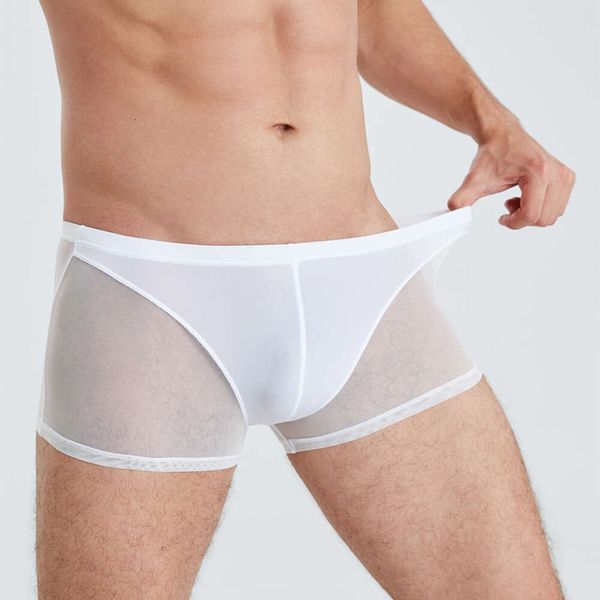 Boxer Sexy pour hommes, Lingerie en maille exotique, sous-vêtements transparents, respirant, soie glacée douce, poche bombée