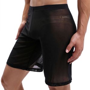 Short Sexy transparent pour hommes, bas en maille, sous-vêtement masculin Transparent, Lingerie exotique, tronc respirant, pantalon translucide fétichiste