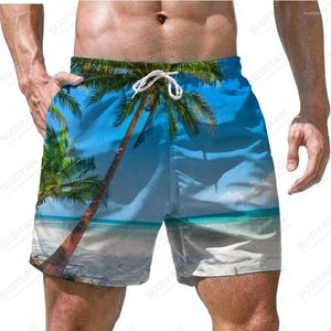 Shorts pour hommes 2023 été plage hawaïenne loisirs sports plantes 3D imprimé rapide respirant grand coucher de soleil