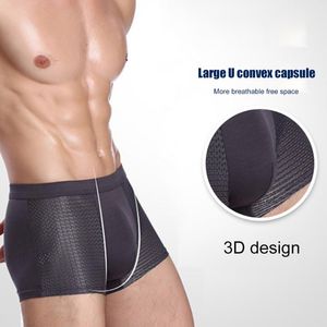 Shorts pour hommes Bamboowear Boxer en bambou pour hommes Slips en microfibre Sous-vêtements Compression Stretch XIN-