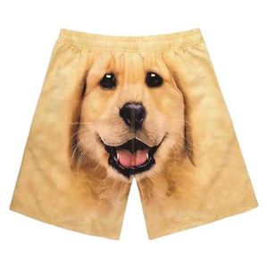Heren shorts Beach Shorts Swimsuit Zomer Dog Print Fun Beach Q240427