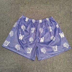 Herenshorts Darc-shorts dubbellaagse mesh-shorts gymshorts voor heren sportshorts hoogwaardige Darc-mesh-shorts J240228