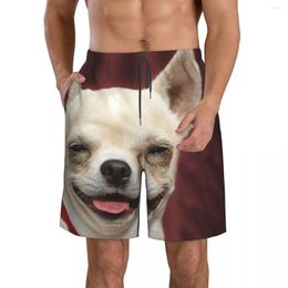 Short pour hommes, mèmes de chien amusants qui vous feront rouler, plage, Fitness, maillot de bain à séchage rapide, Street Fun 3D