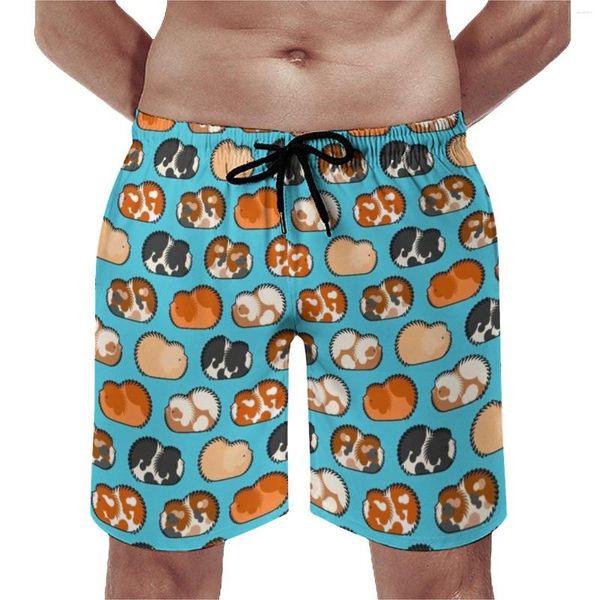 Pantalones cortos para hombre, tablero con estampado de conejillo de indias, pantalones cortos de playa con animales bonitos para surfear, bañadores de secado rápido con diseño divertido de talla grande